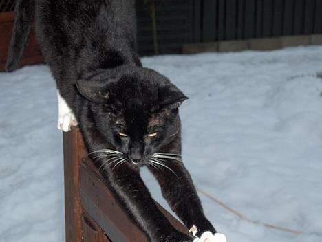 Blanding af racer Simon  billede 6