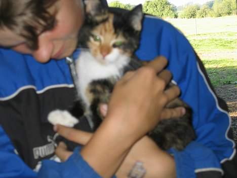 Blanding af racer Fighter *død* - Uhhh... Jeg elsker at blive nusset!!!    (1/9-05) billede 2