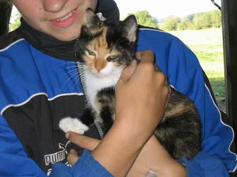 Blanding af racer Fighter *død* - Uhhh ja, lige der...   (1/9-05) billede 3