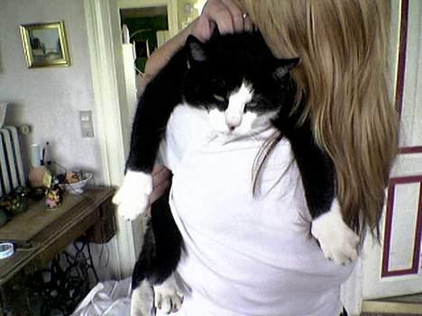 Blanding af racer <3 Adolf <3 - hænger lige over mors skulder;o) billede 9