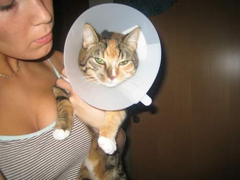 Blanding af racer Gucci - Mis er utilfreds pga kraven... Forståeligt. billede 13