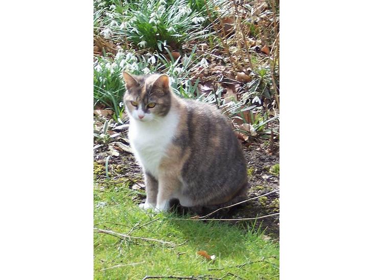 {{currentPhoto.altText}} billede {{currentPhoto.number}}