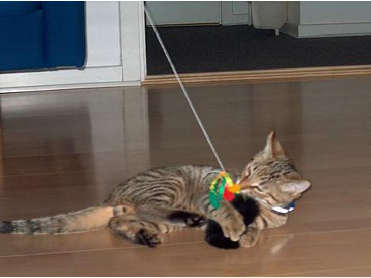 {{currentPhoto.altText}} billede {{currentPhoto.number}}