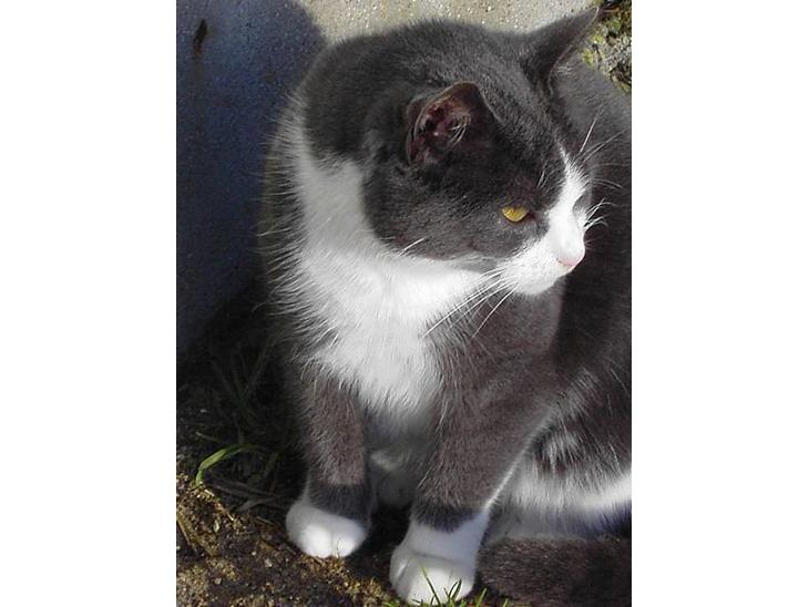 {{currentPhoto.altText}} billede {{currentPhoto.number}}