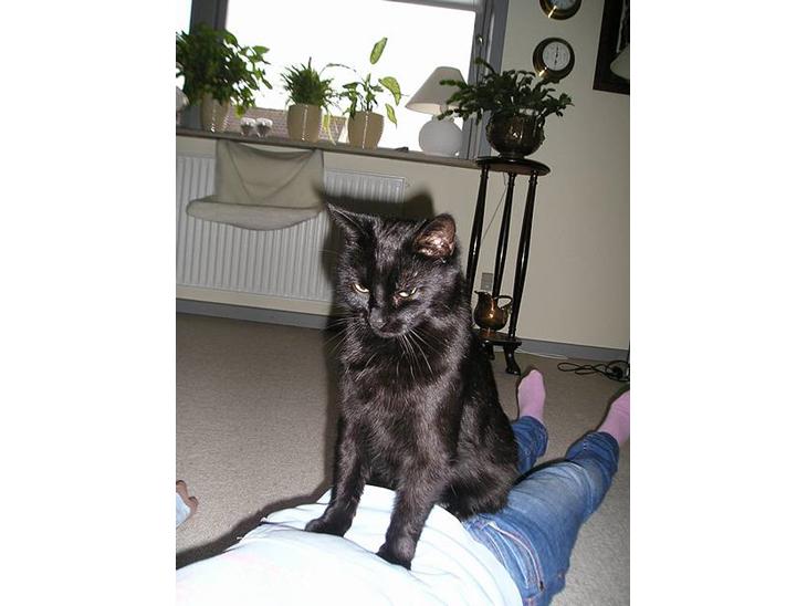 {{currentPhoto.altText}} billede {{currentPhoto.number}}