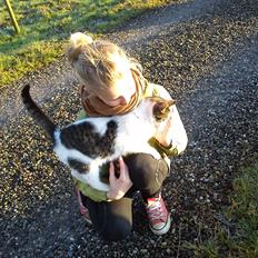 Blanding af racer Lykke