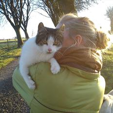 Blanding af racer Lykke