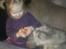 Maine Coon Mimmi(Pippi) R.I.P My Love