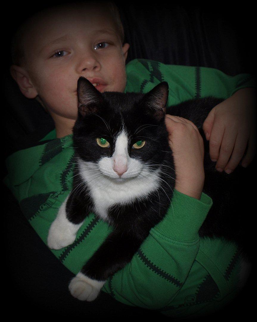 Huskat Miv "Tykke" billede 2