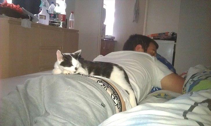 Huskat Batman von Gadget - batman når han har det bedst billede 2