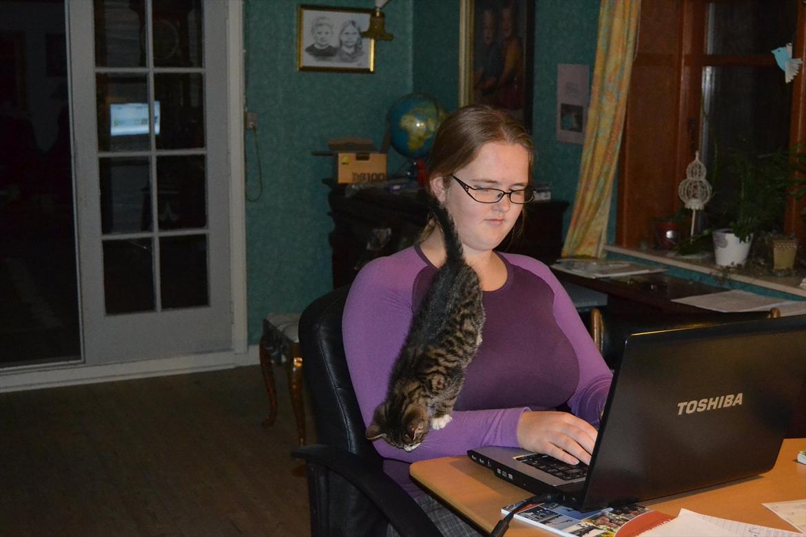 Huskat Ballon billede 6