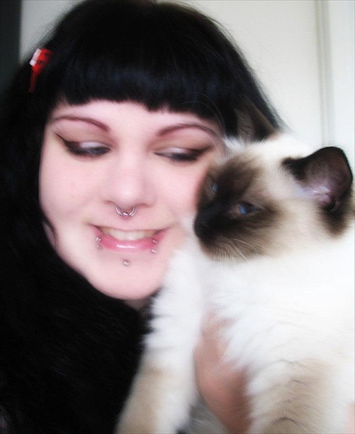 Ragdoll Kashmir - Mig og min kat! :) billede 12