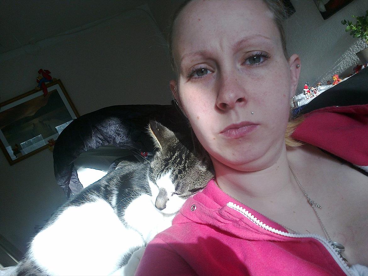 Blanding af racer dini (HUDINI) billede 1