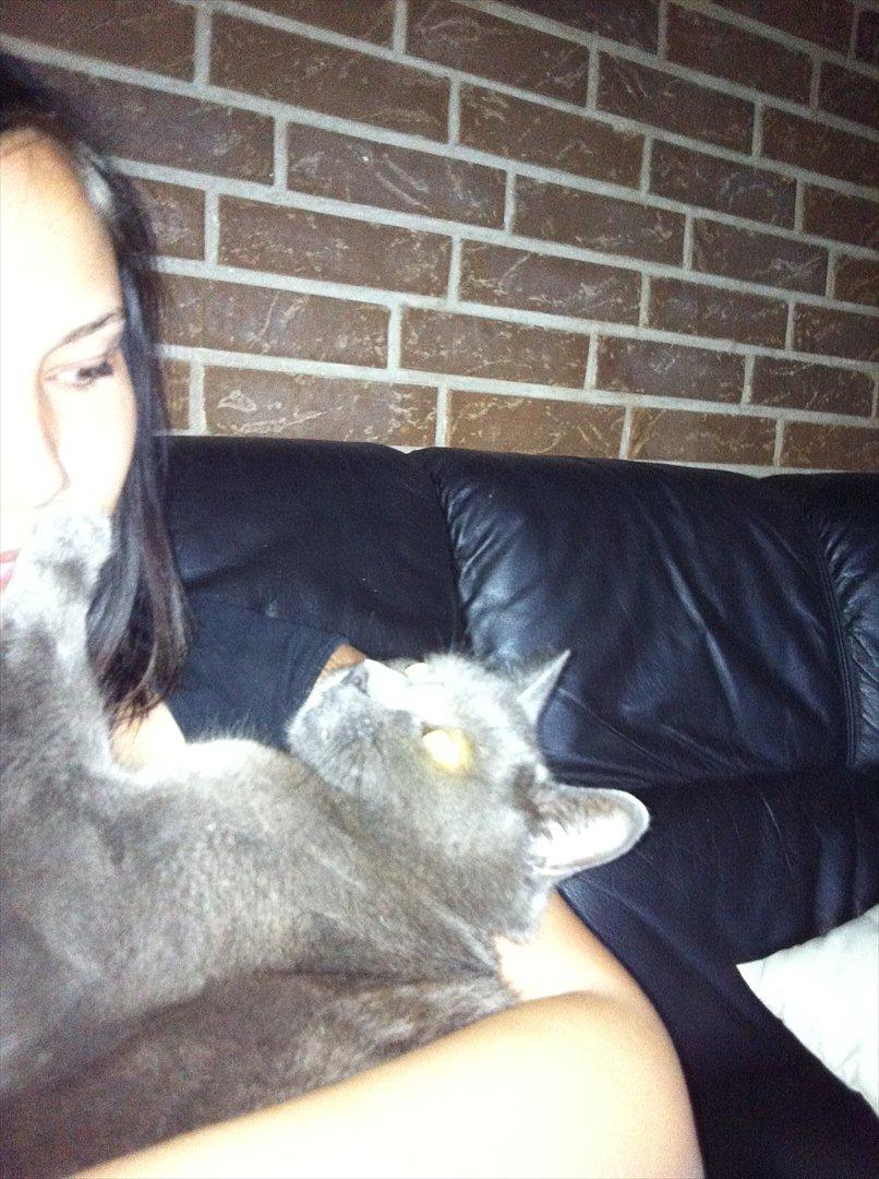 Huskat Mis billede 5