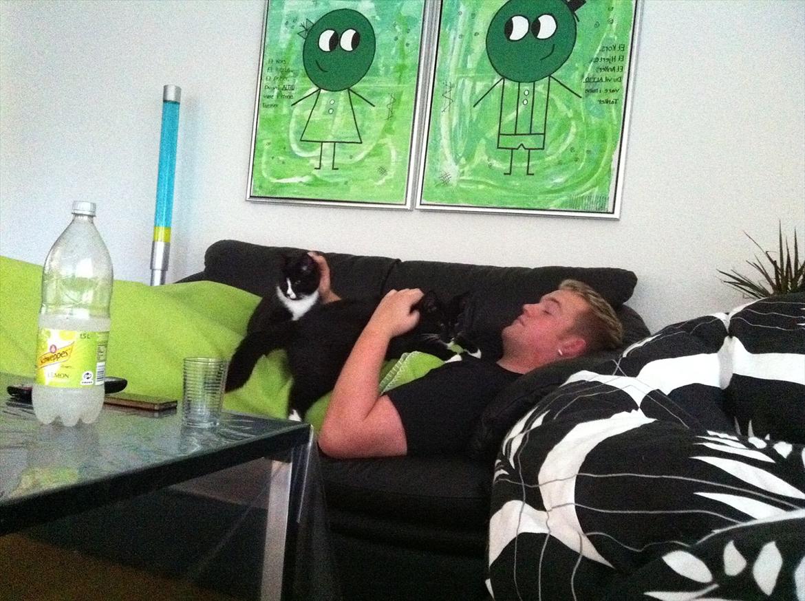 Huskat Pjevs billede 14