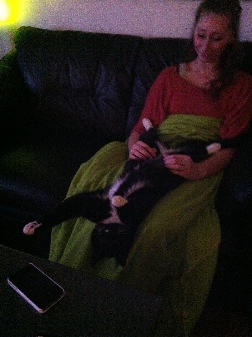 Huskat Bølle billede 2