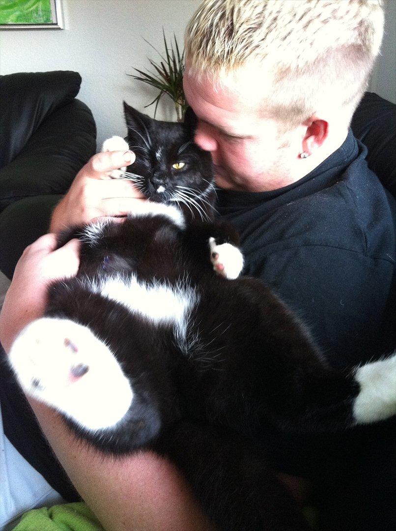 Huskat Bølle - bølle putter ved hans far :D billede 1