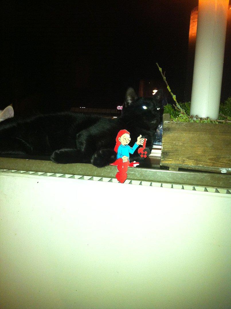 Huskat Buzz - 6. december 2011
Putter med kravlenissen, hyggeligt med en juleferie hos Tante billede 14