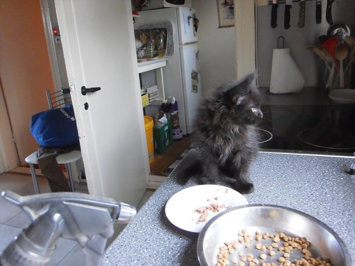 {{currentPhoto.altText}} billede {{currentPhoto.number}}