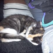 Blanding af racer <3 Mis pige <3