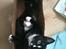 Huskat BlackJack