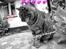 Huskat Pjock<3 R.I.P.<3 - "You are going to the Heaven where the angels fly! - You are my angel 4-ever<3:')!"