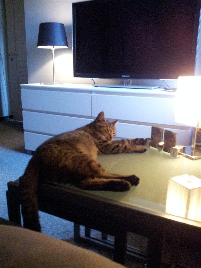 Huskat Devana billede 7