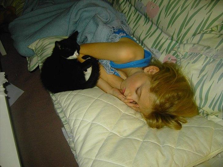 Huskat Misser billede 13