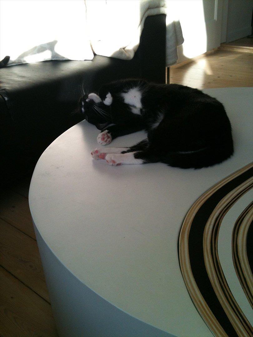 Huskat BlackJack billede 4