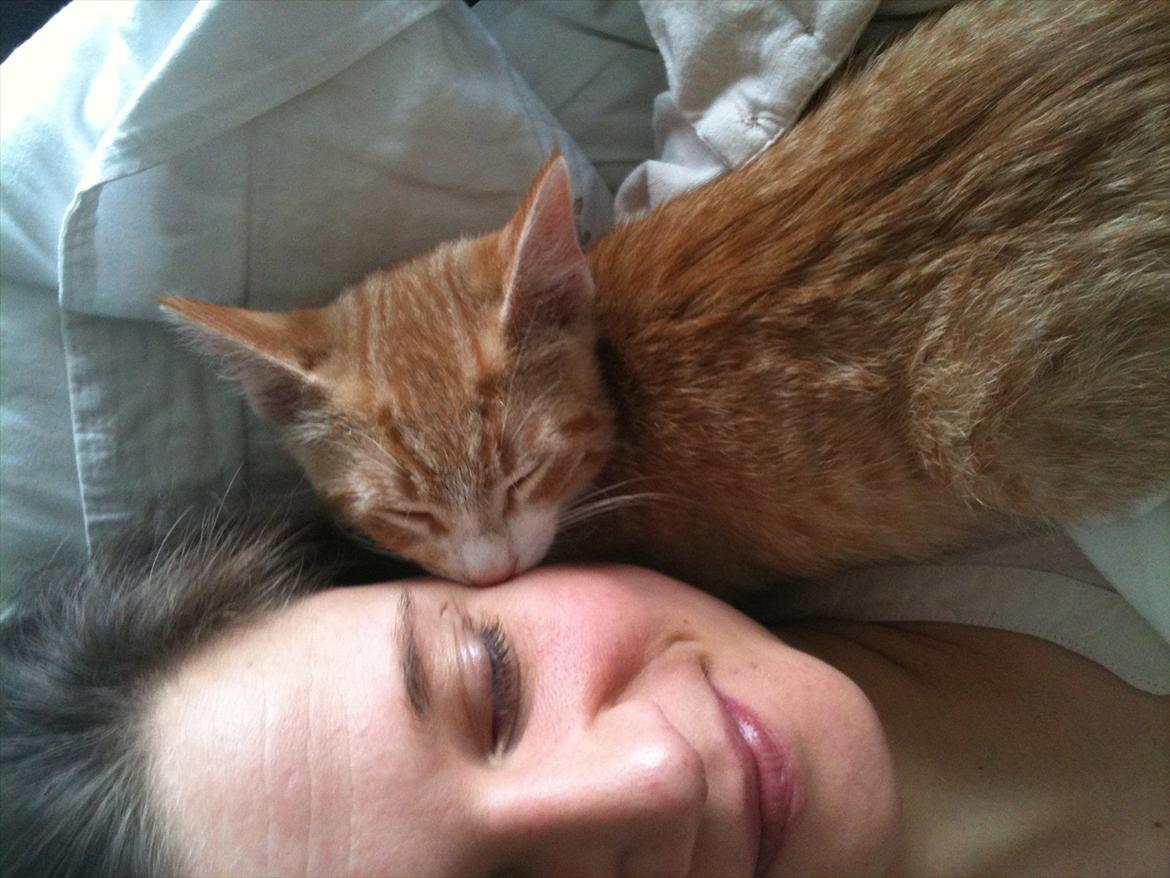 Huskat Sofus billede 2