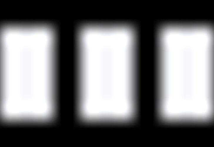 Maine Coon cleopetra / musse billede 11