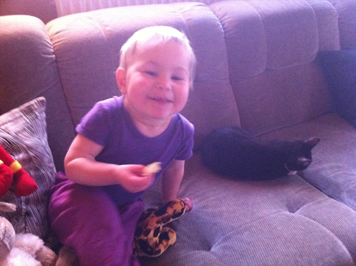 Blanding af racer Elton billede 8