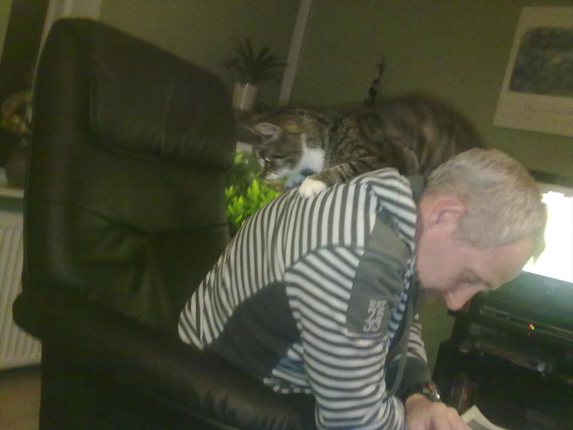 Huskat Kiks. R.I.P - En af hans måde på at få opmærksomhed..  billede 7