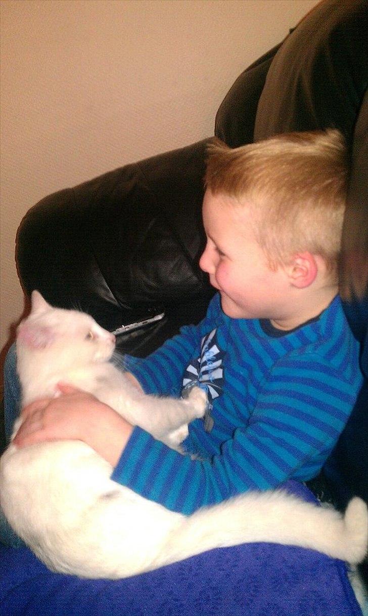 Huskat Milo - Yndlingspladsen billede 5