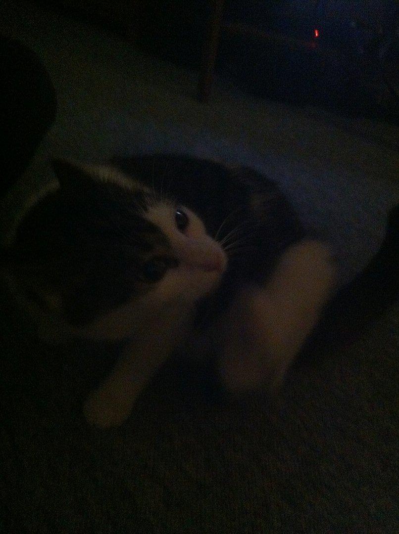 Huskat Frk. Fis <3 - Klør mig altså lige.. :) billede 8