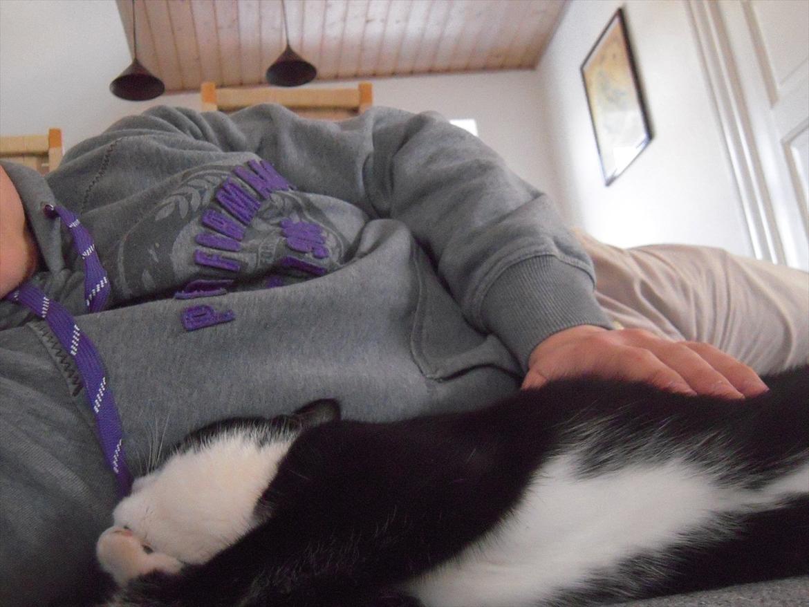 Huskat Mis billede 11