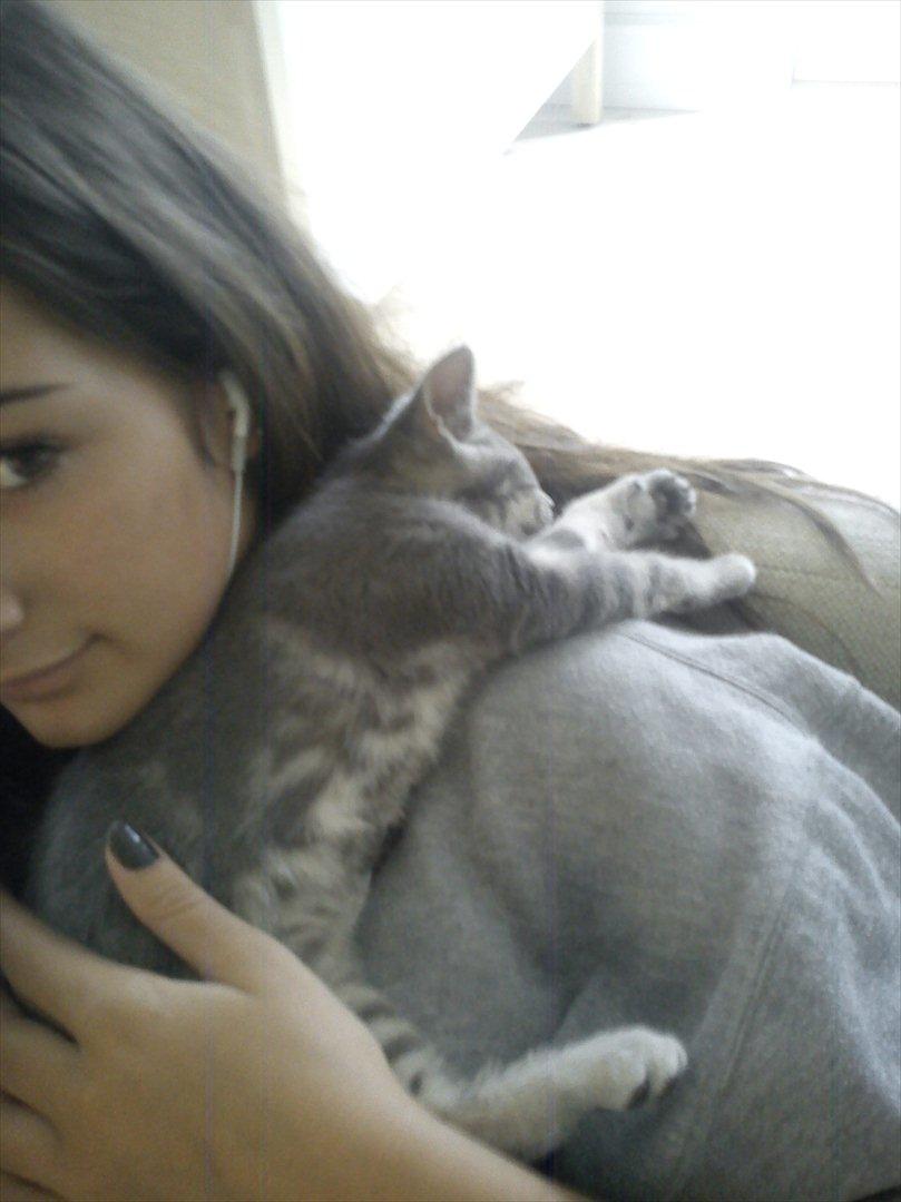 Huskat Gracey - Da lillepigen var lidt yngre, så besluttede hun sig for at tage middagsluren på min skulder ;-) billede 10