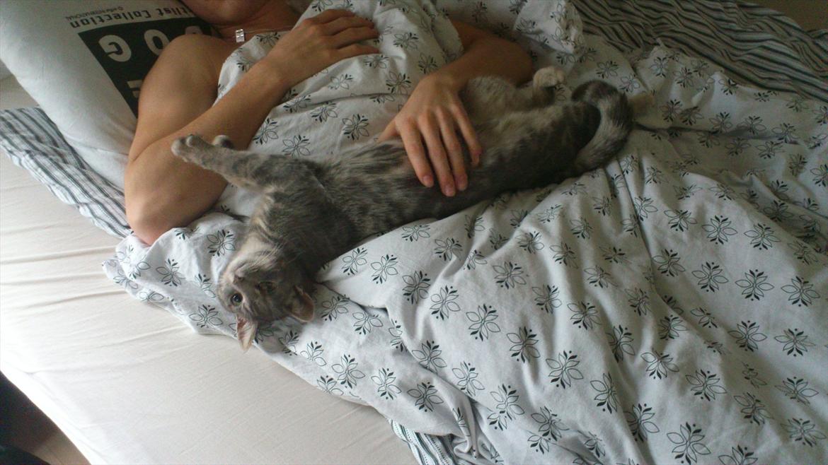 Huskat Gracey - Gracey og min kæreste ;-) billede 12