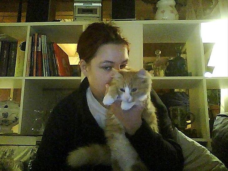 Huskat Trille billede 3