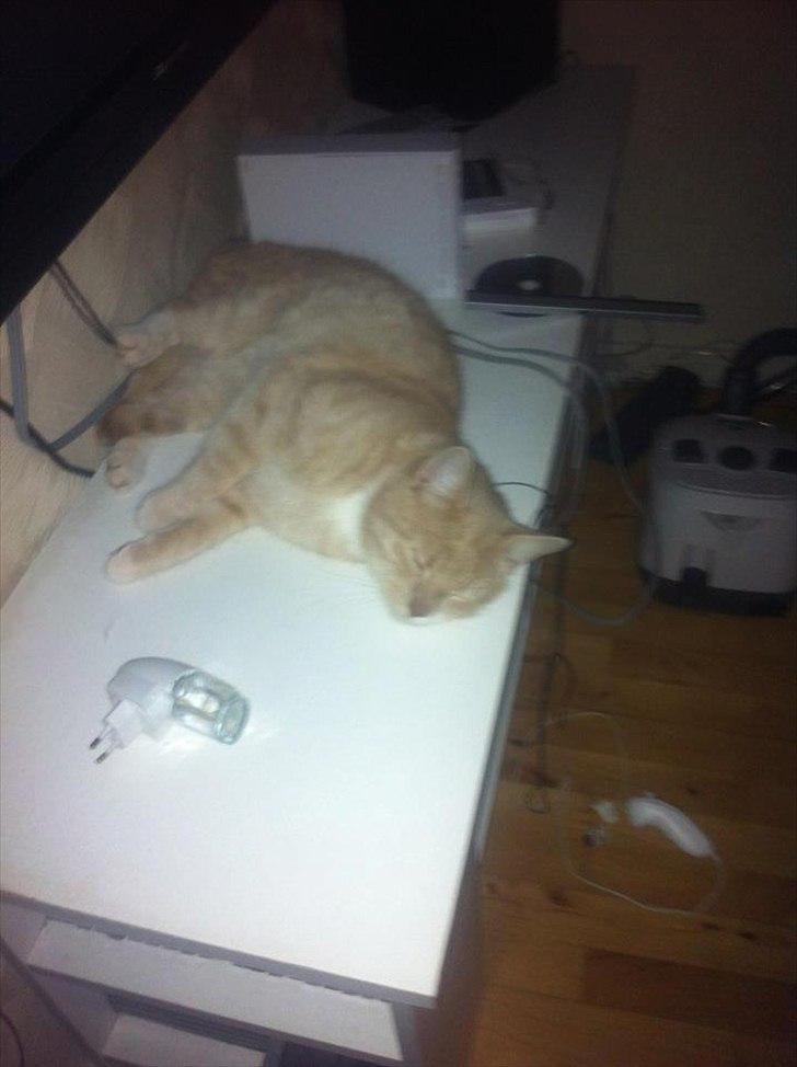 Huskat Garfield billede 2