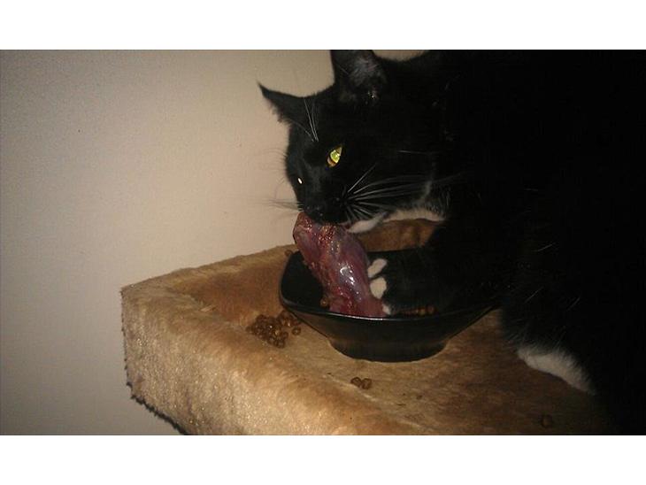 {{currentPhoto.altText}} billede {{currentPhoto.number}}