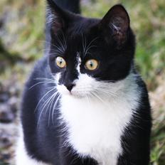 Blanding af racer COCO SURPRISE *Sov sødt min engel :’-(<3*