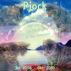 Huskat Pjock<3 R.I.P.<3