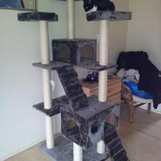 Blanding af racer Chubby