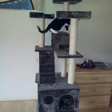 Blanding af racer Chubby