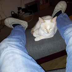 Blanding af racer Liam