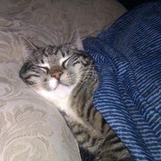 Huskat Tykke drengen :)