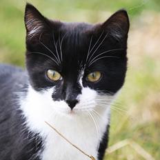 Blanding af racer COCO SURPRISE *Sov sødt min engel :’-(<3*