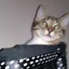 Huskat Buster Fordvundet:'(