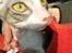 Cornish Rex Yeoman Quinn Quater 